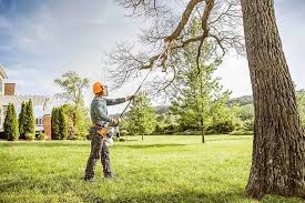 Best Lawn Mowing  in Elizabeth Lake, CA